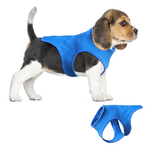 Kühlende Hundeweste, leichter Sommer, Kühlmantel mit verstellbarem Klettverschluss, für kleine Hunde, Outdoor-Wandern, Trainingsaktivitäten (XS), Blau von Embhlitfe