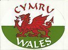 Cymru Wampir Rot Drache Flagge Ovale Aussen Auto Aufkleber Decal von Emblems-Gifts