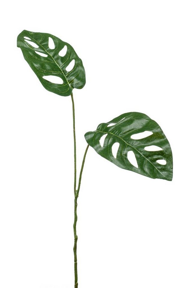 Kunstpflanze, Emerald Eternal Green, Höhe 50 cm, Grün B:25cm H:50cm Kunststoff von Emerald Eternal Green