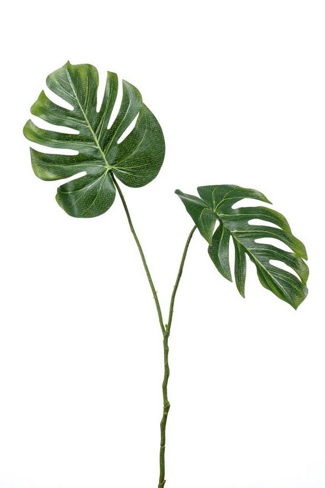 Kunstpflanze, Emerald Eternal Green, Höhe 50 cm, Grün B:28cm H:50cm Kunststoff von Emerald Eternal Green
