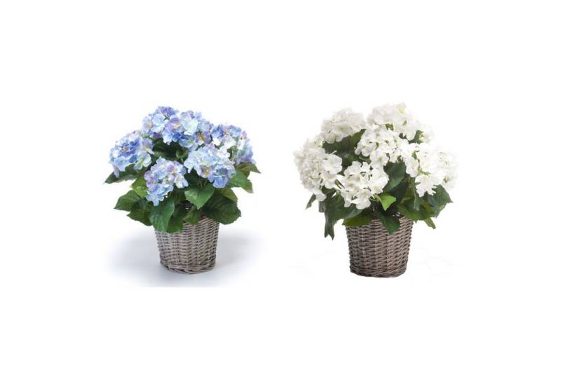 Künstliche Zimmerpflanze, Emerald, Höhe 45 cm, Künstlich, Mehrfarbig, Motiv: Hortensie von Emerald