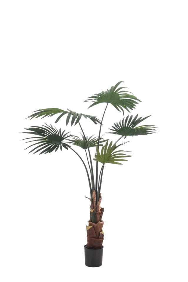 Kunstbaum Künstliche Livistona Palme - Mera, 110 cm, Emerald von Emerald