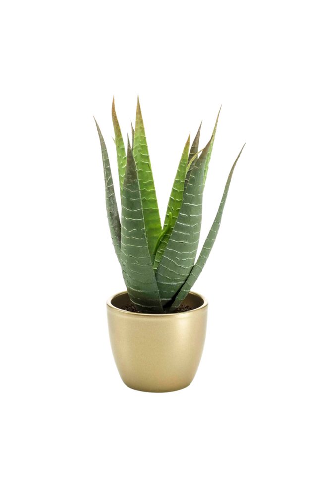 Kunstpflanze Künstliche Aloe - Patricia, 23 cm, Emerald von Emerald