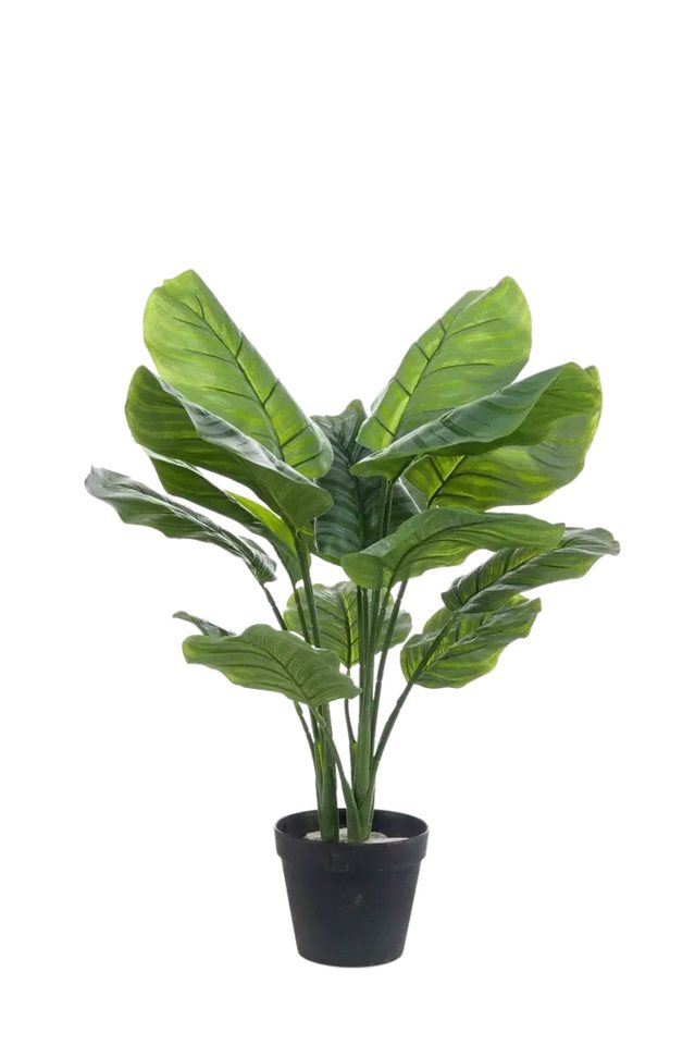 Kunstpflanze Künstliche Calathea orbifolia - Bill, 70 cm, Emerald von Emerald
