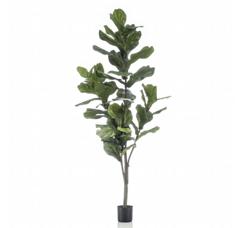 Kunstrasen Geigenfeige Ficus lyrata Künstlich 160 cm, Emerald, Höhe: 160 mm von Emerald