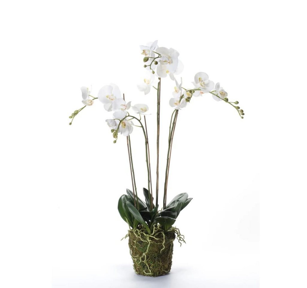 Kunstrasen Kunstpflanze Phalaenopsis mit Moos Weiß 90 cm 20.355, Emerald, Höhe: 90 mm von Emerald