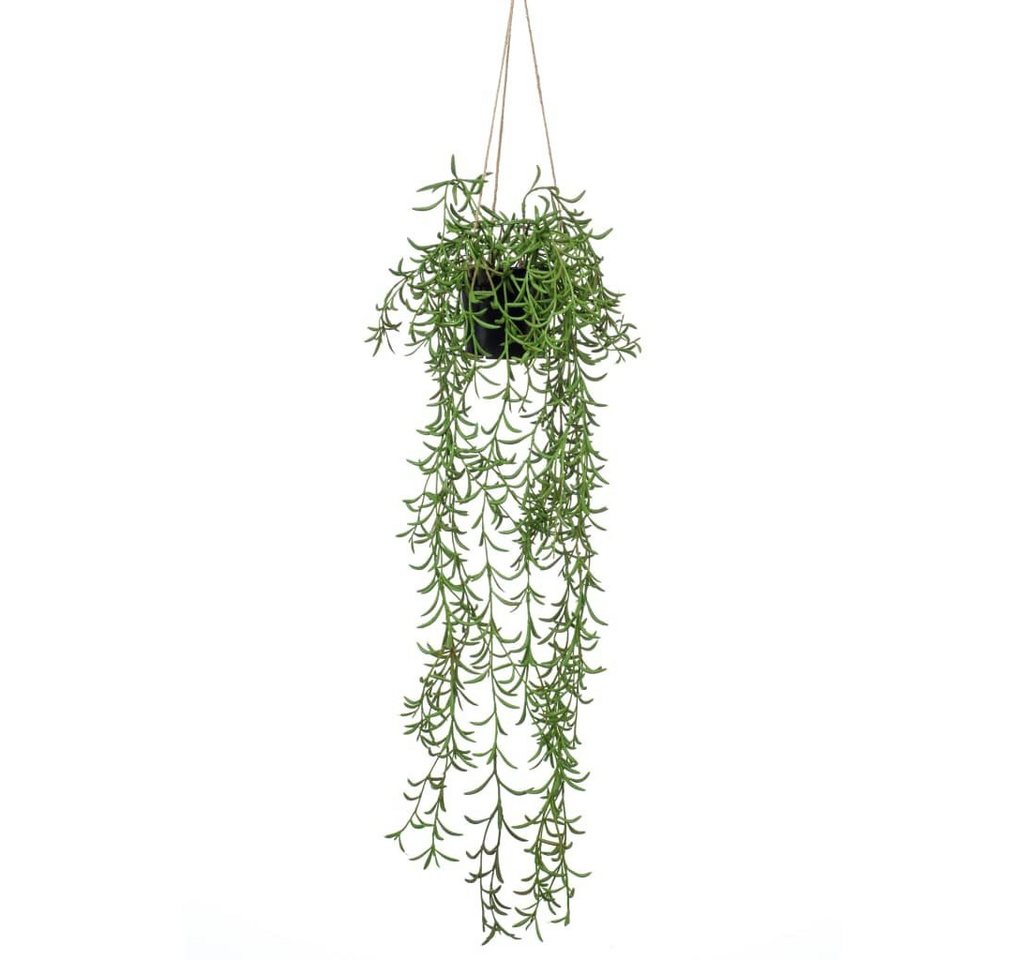 Kunstrasen Kunstpflanze Senecio Hängend im Topf 70 cm, Emerald, Höhe: 70 mm von Emerald