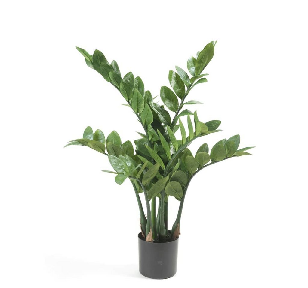 Kunstrasen Kunstpflanze Zamioculcas Glücksfeder 70 cm, Emerald, Höhe: 70 mm von Emerald