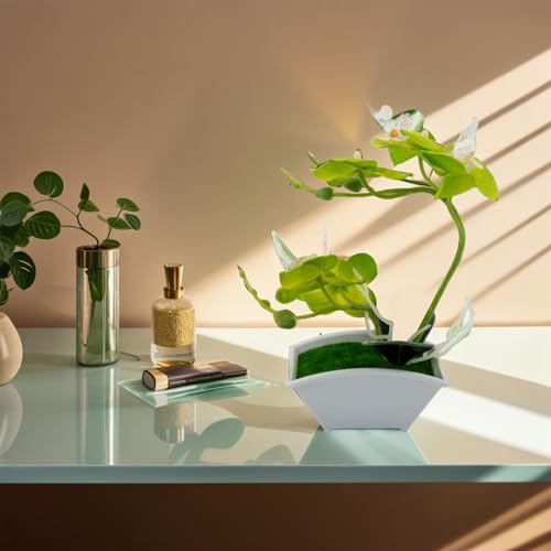 Falsche Schmetterlings-Orchidee mit Topf, perfekte Ergänzung für Zuhause, Büro oder Café, Grün von Emiif