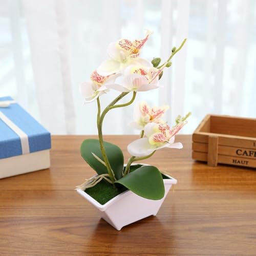 Falsche Schmetterlings-Orchidee mit Topf, perfekte Ergänzung für Zuhause, Büro oder Café, Weiß von Emiif