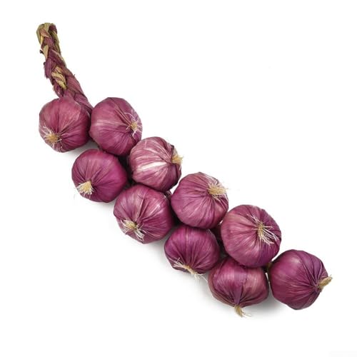 Knoblauch und künstliche Zwiebel für dekorative Verwendung in Häusern, Terrassen und Büros (1#) von Emiif