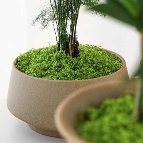 Rasen-Dekoration, perfekte Ergänzung für Ihren Garten oder Innenräume (500 g, hellgrün) von Emiif