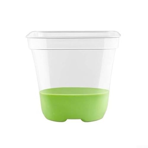 Transparente Pflanztöpfe mit Drainage, 6 oder 12 Stück, für Innen- und Außenbereich, Pflanzenwachstum (12 Stück + 12 Etiketten) von Emiif
