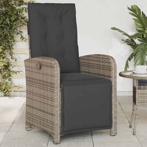 Emmtore Gartensessel,Gartenstuhl mit Fußteil,Garten Liegestuhl mit Verstellbarer Rückenlehne Fußstütze,Sessel Relaxsessel Gartenmöbel,Poly Rattan Gartensessel,Grau,1 PZ von Emmtore