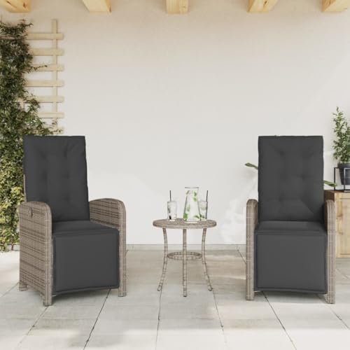 Emmtore Gartensessel,Gartenstuhl mit Fußteil,Garten Liegestuhl mit Verstellbarer Rückenlehne Fußstütze,Sessel Relaxsessel Gartenmöbel,Poly Rattan Gartensessel,Grau,2 PZ von Emmtore