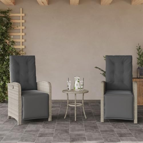 Emmtore Gartensessel,Gartenstuhl mit Fußteil,Garten Liegestuhl mit Verstellbarer Rückenlehne Fußstütze,Sessel Relaxsessel Gartenmöbel,Poly Rattan Gartensessel,Hellgrau,2 PZ von Emmtore
