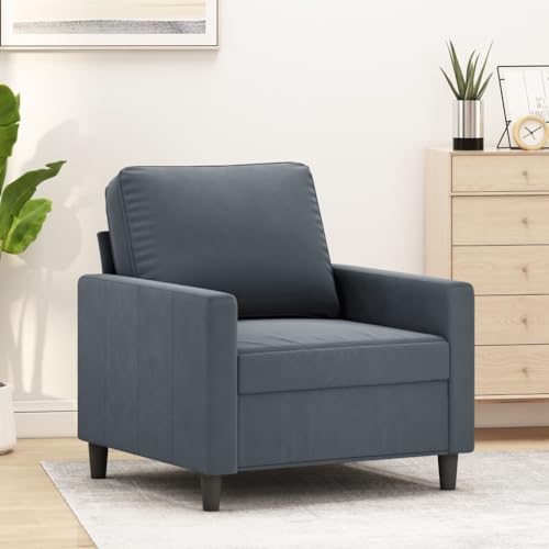 Emmtore Sessel, Sofa Relaxsessel mit gepolstertem Sitz Armlehnen, Fernsehsessel Loungesessel mit Metallgestell, Polstersessel Ruhesessel Samt,Dunkelgrau,60 cm von Emmtore