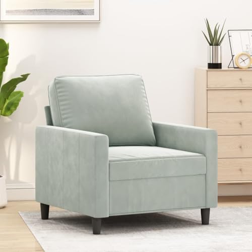 Emmtore Sessel, Sofa Relaxsessel mit gepolstertem Sitz Armlehnen, Fernsehsessel Loungesessel mit Metallgestell, Polstersessel Ruhesessel Samt,Hellgrau,60 cm von Emmtore