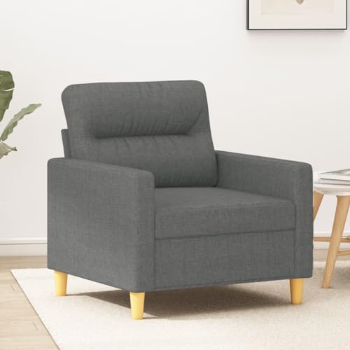 Emmtore Sofa 2-Sitzer, Loungesofa Couch mit Armlehnen Rückenkissen, Wohnzimmersofa Designsofa Metallgestell, Sitzmöbel Zweisitzer, Modern, StoffDunkelgrau,60 cm von Emmtore