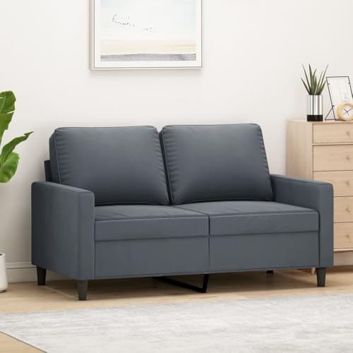 Emmtore Sofa 2-Sitzer, Loungesofa Couch mit Armlehnen Rückenkissen, Wohnzimmersofa Designsofa mit Metallgestell, Sitzmöbel Zweisitzer Samt,Dunkelgrau,120 cm von Emmtore