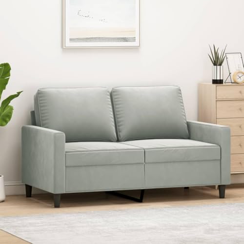 Emmtore Sofa 2-Sitzer, Loungesofa Couch mit Armlehnen Rückenkissen, Wohnzimmersofa Designsofa mit Metallgestell, Sitzmöbel Zweisitzer Samt,Hellgrau,120 cm von Emmtore