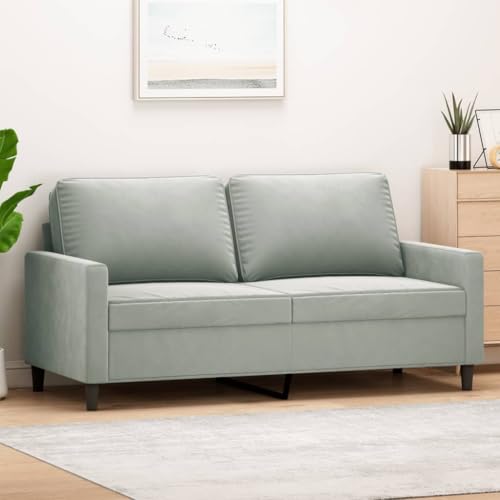 Emmtore Sofa 2-Sitzer, Loungesofa Couch mit Armlehnen Rückenkissen, Wohnzimmersofa Designsofa mit Metallgestell, Sitzmöbel Zweisitzer Samt,Hellgrau,140 cm von Emmtore