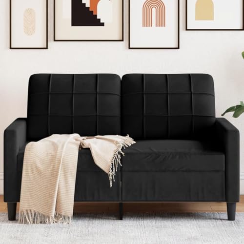 Emmtore Sofa 2-Sitzer, Polstersofa Doppelsofa für Wohnzimmer, Couch Loungesofa Metallgestell, Zweisitzer Samtsofa Sitzmöbel, Modern,Samt, Schwarz,120 cm Emmtore Sofa 2-Sitzer, Polstersofa Doppelsofa für Wohnzimmer, Couch Loungesofa Metallgestell, Zweisitzer Samtsofa Sitzmöbel, Modern,Samt, Schwarz,120 cm von Emmtore