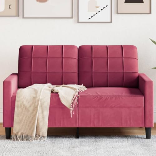 Emmtore Sofa 2-Sitzer, Polstersofa Doppelsofa für Wohnzimmer, Couch Loungesofa Metallgestell, Zweisitzer Samtsofa Sitzmöbel, Modern,Samt, Weinrot,120 cm Emmtore Sofa 2-Sitzer, Polstersofa Doppelsofa für Wohnzimmer, Couch Loungesofa Metallgestell, Zweisitzer Samtsofa Sitzmöbel, Modern,Samt, Weinrot,120 cm von Emmtore