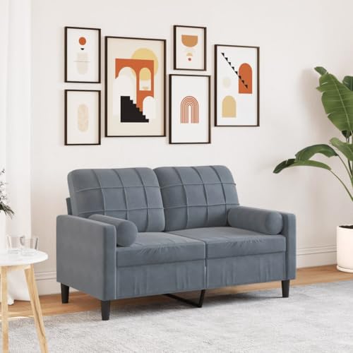 Emmtore Sofa 2-Sitzer,Couch mit Zierkissen Metallgestell, Polstersofa Stoffsofa für Wohnzimmer, Loungesofa Sitzmöbel Modern Samt Dunkelgrau,120 cm von Emmtore