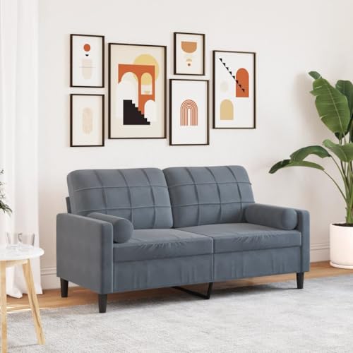 Emmtore Sofa 2-Sitzer,Couch mit Zierkissen Metallgestell, Polstersofa Stoffsofa für Wohnzimmer, Loungesofa Sitzmöbel Modern Samt Dunkelgrau,140 cm von Emmtore