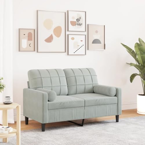 Emmtore Sofa 2-Sitzer,Couch mit Zierkissen Metallgestell, Polstersofa Stoffsofa für Wohnzimmer, Loungesofa Sitzmöbel Modern Samt Hellgrau,120 cm von Emmtore