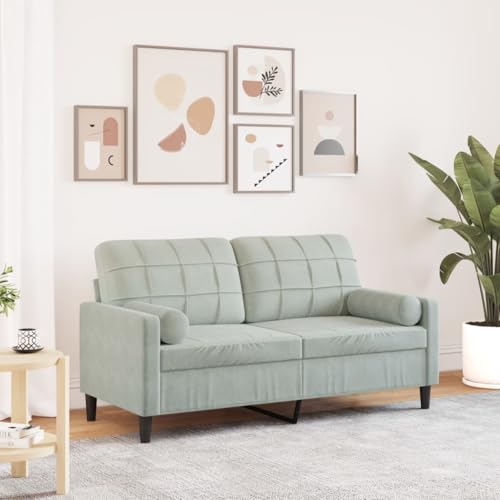 Emmtore Sofa 2-Sitzer,Couch mit Zierkissen Metallgestell, Polstersofa Stoffsofa für Wohnzimmer, Loungesofa Sitzmöbel Modern Samt Hellgrau,140 cm von Emmtore