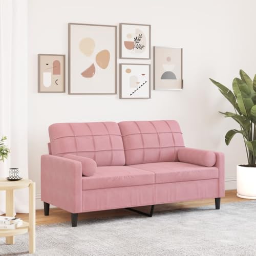 Emmtore Sofa 2-Sitzer,Couch mit Zierkissen Metallgestell, Polstersofa Stoffsofa für Wohnzimmer, Loungesofa Sitzmöbel Modern Samt Rosa,140 cm von Emmtore