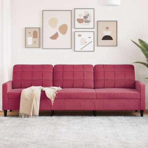 Emmtore Sofa 3-Sitzer, Polstersofa für Wohnzimmer, Couch Loungesofa Metallgestell, Dreisitzer Samtsofa Sitzmöbel, Modern Weinrot,210 cm Emmtore Sofa 3-Sitzer, Polstersofa für Wohnzimmer, Couch Loungesofa Metallgestell, Dreisitzer Samtsofa Sitzmöbel, Modern Weinrot,210 cm von Emmtore