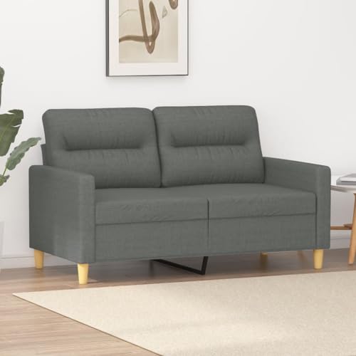 Emmtore Sofasessel, Sessel Sofa mit Armlehnen Rückenkissen, Loungesessel Fernsehsessel für Wohnzimmer, Relaxsessel Clubsessel Polstersessel,Stoff Dunkelgrau,120 cm von Emmtore