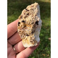 Rot Und Orange Spessartin Granat Auf Quarz-Matrix Rot Und Orange Spessartin Granat Auf Quarz-Matrix von EmpathMoonGems