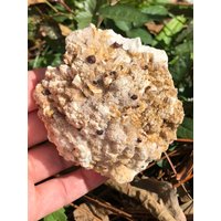 Rote Und Orange Spessartin-Garnets Auf Quarzmatrix von EmpathMoonGems