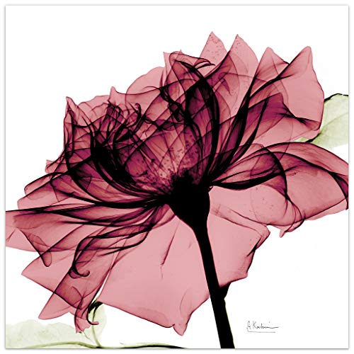 Empire Art Direct Chianti Rose I Wandbild auf rahmenloser Platte aus gehärtetem Glas Fertig zum Aufhängen, Wohnzimmer, Schlafzimmer und Büro, Hartglas Papier, 24" x 24" von Empire Art Direct