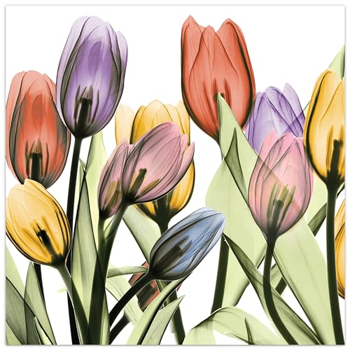 Empire Art Direct Tulip Scape X-Ray I Flower Wall Art on Frameless Free Floating Tempered Glass Panel Fertig zum Aufhängen, Wohnzimmer, Schlafzimmer und Büro, Hartglas Papier, 24L x 0.2W von Empire Art Direct