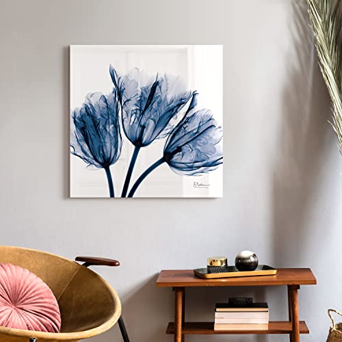 Empire Art Direct - TMP-AK011A-2424 Blaue Tulpe Röntgenblume Wandbild auf rahmenloser, schwimmender gehärtetem Glasscheibe, fertig zum Aufhängen, Wohnzimmer, Schlafzimmer und Büro, 61 x 61 x 0,5 cm von Empire Art Direct