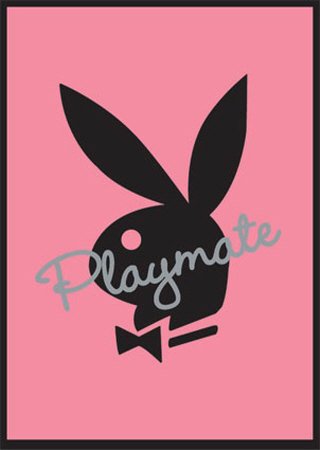 Empire 17314 Playboy - Playmate Bunny, Poster ca. 91,5 x 61 cm von Empire