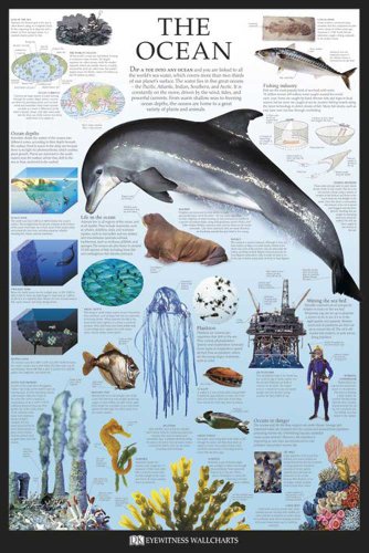 Empire 535443 Educational - The Ocean - Dorling Kindersley Ozean Bildungsposter Plakat Druck - Maxiposter Größe 61 x 91.5 cm von Empire