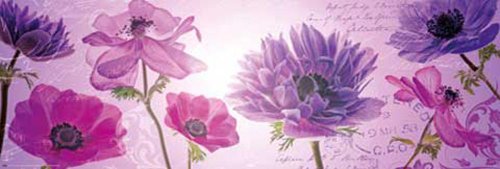 empireposter Blumen - Violett - Slim Poster Blumen - Grösse 90,5x30,5 cm von empireposter