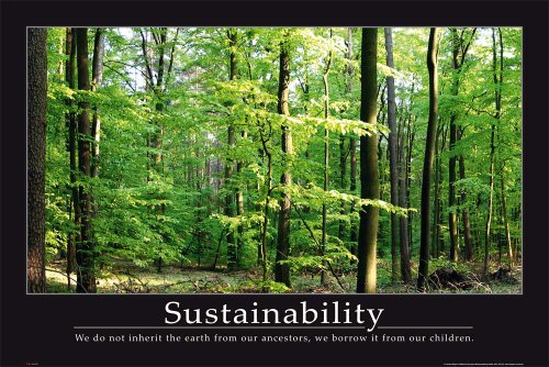 empireposter Motivational - Sustainability Wald Forrests Motivations Poster Plakat Druck - Grösse 91,5x61 cm von empireposter