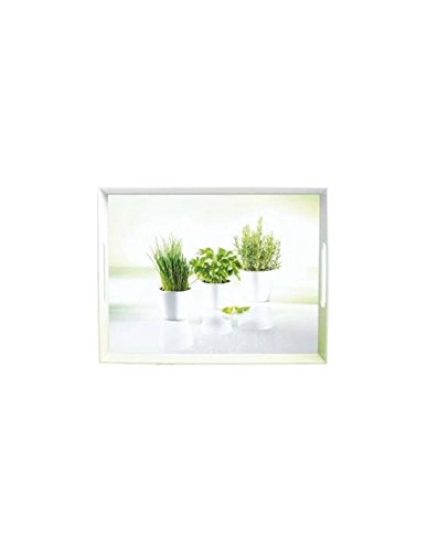 Emsa 504859 Tablett mit Herbs Dekor, Größe 40 x 31 cm, Classic Emsa 504859 Tablett mit Herbs Dekor, Größe 40 x 31 cm, Classic von Emsa