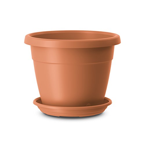 Emsa Blumenkübel für den Innen- und Außenbereich, 200 mm, , Terrakotta, City, 517595 Emsa Blumenkübel für den Innen- und Außenbereich, 200 mm, , Terrakotta, City, 517595 von Emsa