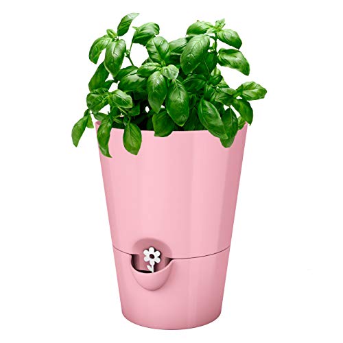 Emsa Kräutertopf für frische Kräuter, Selbstbewässerung, Wasserstandsanzeiger, Ø 13 cm, Altrosa, Fresh Herbs, 517706 von Emsa