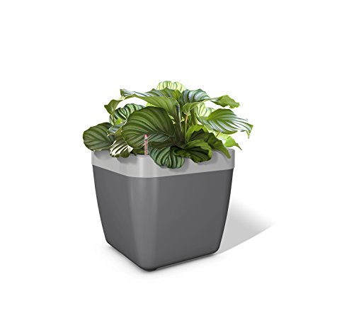 Emsa myBOX Blumenkübel anthrazit/alu , Maße ca. L 350 mm x B 350 mm x T 340 mm Blumenkasten incl. Rahmen von Emsa