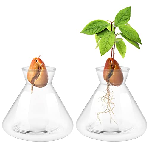 Emsiok Avocado-Samenvasen, transparent, Blumentopf, für den Innen- und Außenbereich, 2 Stück von Emsiok