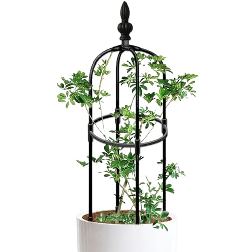 Garten Obelisk Gitter 3 Fuß hohe runde rostfeste Garten DIY Pflanzenklettern einfach zu montieren Pflanze für Töpfe Innenkletterpflanzen Obelisk von Enbebamd
